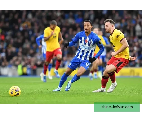 英超布莱顿青训体系持续提升，未来之星备受关注